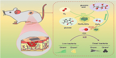 Graphical abstract: A self-activated cascade nanoreactor based on Pd–Ru/GOx for bacterial infection treatment