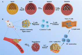Graphical abstract: Boosting immunotherapy of triple negative breast cancer through the synergy of mild PTT and Fe-loaded organosilica nanoparticles