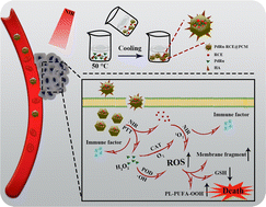 Graphical abstract: Thermo-responsive palladium–ruthenium nanozyme synergistic photodynamic therapy for metastatic breast cancer management