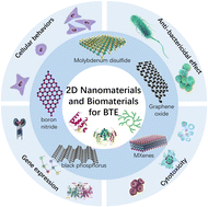 Graphical abstract: When 2D nanomaterials meet biomolecules: design strategies and hybrid nanostructures for bone tissue engineering