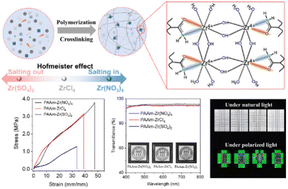 Graphical abstract: Cooperation of Zr(iv)–N and Zr(iv)–O coordinate bonds of Zr(iv)–amide ensures the transparent and tough polyacrylamide hydrogels