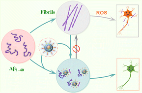 Graphical abstract: Aptamer conjugated polydopamine-coated gold nanoparticles as a dual-action nanoplatform targeting β-amyloid peptide for Alzheimer's disease therapy