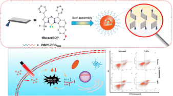 Graphical abstract: Synthesis of aza-BODIPYs with barrier-free rotation of the –tBu group at 3-site and enhancement of photothermal therapy by triggering cancer cell apoptosis