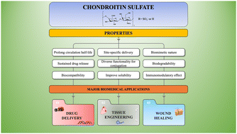Graphical abstract: Chondroitin sulfate-based composites: a tour d’horizon of their biomedical applications