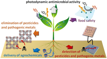 Graphical abstract: Metal-porphyrinic framework nanotechnologies in modern agricultural management