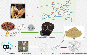 Graphical abstract: Exploration of multifunctional wood coating based on an interpenetrating network system of rosin-CO2-based polyurethane and mussel bionic rosin-based benzoxazine
