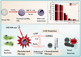 Graphical abstract: Glutathione-depletion reinforced enzyme catalytic activity for photothermal assisted bacterial killing by hollow mesoporous CuO
