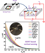 Graphical abstract: Microfluidics integrated NiO based electrolyte-gated FETs for the detection of cortisol