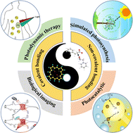 Graphical abstract: Bioinspired porphyrin–peptide supramolecular assemblies and their applications