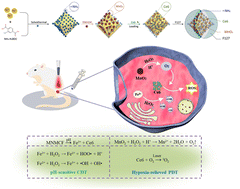 Graphical abstract: MOF(Fe)-derived composites as a unique nanoplatform for chemo-photodynamic tumor therapy