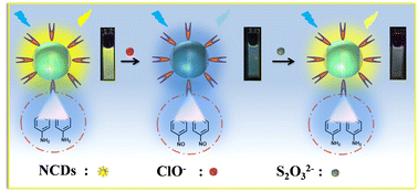 Graphical abstract: One-pot synthesis of efficient multifunctional nitrogen-doped carbon dots with efficient yellow fluorescence emission for detection of hypochlorite and thiosulfate
