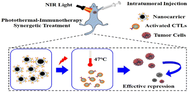 Graphical abstract: PD-1 engineered cytomembrane cloaked molybdenum nitride for synergistic photothermal and enhanced immunotherapy of breast cancer