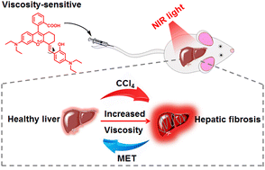 Graphical abstract: Viscosity-sensitive NIR probe for in vivo imaging of early-stage hepatic fibrosis