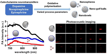 Graphical abstract: Mesoporous, anisotropic nanostructures from bioinspired polymeric catecholamine neurotransmitters and their potential application as photoacoustic imaging agents