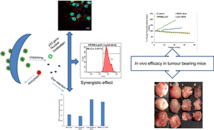 Graphical abstract: Synergistic effect of p53 gene/DOX intracellular delivery and P-gp inhibition by pullulan thiomers on cancer cells: in vitro and in vivo evaluations