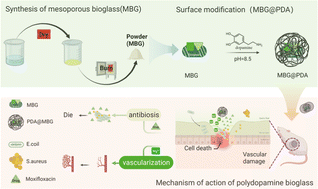 Graphical abstract: Mesoporous bioglass capsule composite injectable hydrogels with antibacterial and vascularization promotion properties for chronic wound repair