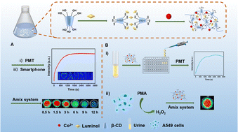 Graphical abstract: A novel enzyme-free long-lasting chemiluminescence system based on a luminol functionalized β-cyclodextrin hydrogel for sensitive detection of H2O2 in urine and cells