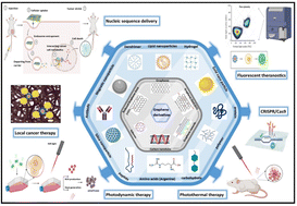 Graphical abstract: Graphene family in cancer therapy: recent progress in cancer gene/drug delivery applications