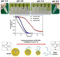 Graphical abstract: Poly(succinimide) nanoparticles as reservoirs for spontaneous and sustained synthesis of poly(aspartic acid) under physiological conditions: potential for vascular calcification therapy and oral drug delivery