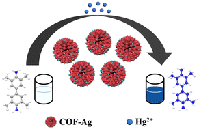 Graphical abstract: Covalent organic framework-loaded silver nanoparticles as robust mimetic oxidase for highly sensitive and selective colorimetric detection of mercury in blood