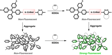 Graphical abstract: Bio-orthogonally activated tetraphenylene-tetrazine aggregation-induced emission fluorogenic probes