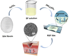Graphical abstract: Highly stretchable porous regenerated silk fibroin film for enhanced wound healing