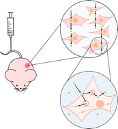 Graphical abstract: Improving crossing of multiple bio-delivery barriers by a novel bio-interface design based on hydrophobic nanoparticle surfaces