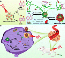 Graphical abstract: Biomimetic dual-responsive bioengineered nanotheranostics for intracellular cascade-synthesizing chemo-drugs and efficient oncotherapy