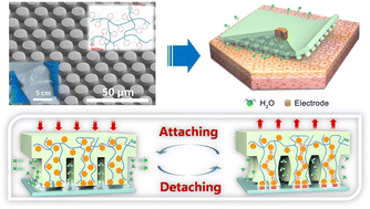 Graphical abstract: A humidity-resistant bio-inspired microfibrillar adhesive fabricated using a phenyl-rich polysiloxane elastomer for reliable skin patches