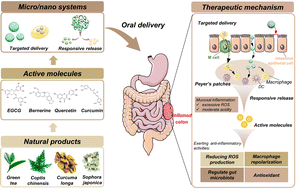 Graphical abstract: The application of natural product-delivering micro/nano systems in the treatment of inflammatory bowel disease