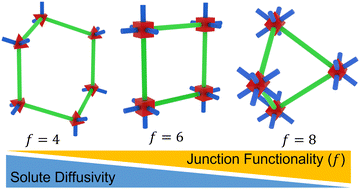 Graphical abstract: Solute diffusion and partitioning in multi-arm poly(ethylene glycol) hydrogels