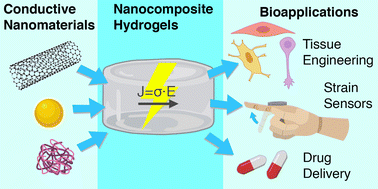 Graphical abstract: Hydrogels with electrically conductive nanomaterials for biomedical applications