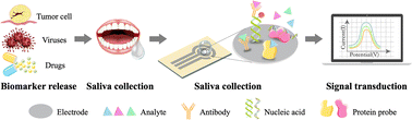 Graphical abstract: Electrochemical biosensors based on saliva electrolytes for rapid detection and diagnosis