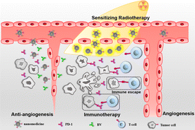 Graphical abstract: A powerful antitumor “trident”: the combination of radio-, immuno- and anti-angiogenesis therapy based on mesoporous silica single coated gold nanoparticles