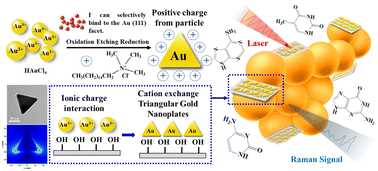 Graphical abstract: Triangular gold nanoplates/two-dimensional nano mica platelets with a 3D lightning-rod effect as flexible nanohybrid substrates for SERS bacterial detection
