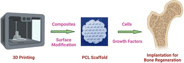 Graphical abstract: Advances in additive manufacturing of polycaprolactone based scaffolds for bone regeneration