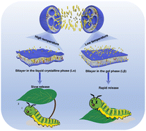 Graphical abstract: Development of emamectin benzoate-loaded liposome nano-vesicles with thermo-responsive behavior for intelligent pest control