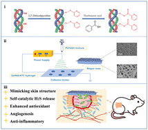 Graphical abstract: Bilayer dressing based on aerogel/electrospun mats with self-catalytic hydrogen sulfide generation and enhanced antioxidant ability