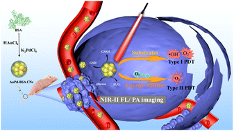 Graphical abstract: Multifunctional AuPd-cluster nanotheranostic agents with a cascade self-regulating redox tumor-microenvironment for dual-photodynamic synergized enzyme catalytic therapy