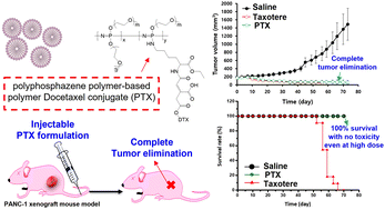 Graphical abstract: NOAEL cancer therapy: a tumor targetable docetaxel–inorganic polymer nanohybrid prevents drug-induced neutropenia