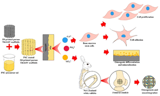 Graphical abstract: A pH-neutral bioactive glass coated 3D-printed porous Ti6Al4V scaffold with enhanced osseointegration