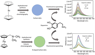 Graphical abstract: High quantum yield carbon dots and nitrogen-doped carbon dots as fluorescent probes for spectroscopic dopamine detection in human serum