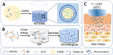 Graphical abstract: A thermo-responsive hydrogel loaded with an ionic liquid microemulsion for transdermal delivery of methotrexate