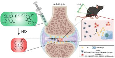 Graphical abstract: A nitric oxide responsive AIE probe for detecting the progression of osteoarthritis