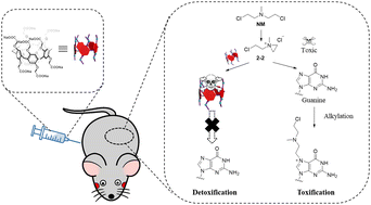 Graphical abstract: Supramolecular detoxification of nitrogen mustard via host–guest encapsulation by carboxylatopillar[5]arene