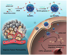 Graphical abstract: Cancer-associated fibroblast-targeted nanodrugs reshape colorectal tumor microenvironments to suppress tumor proliferation, metastasis and improve drug penetration