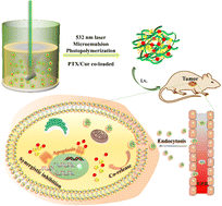 Graphical abstract: Nanogels co-loading paclitaxel and curcumin prepared in situ through photopolymerization at 532 nm for synergistically suppressing breast tumors