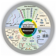 Graphical abstract: Recent progress of biosensors for the detection of lung cancer markers