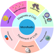 Graphical abstract: Microfluidics for diagnosis and treatment of cardiovascular disease