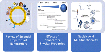 Graphical abstract: Recent advancements in design of nucleic acid nanocarriers for controlled drug delivery